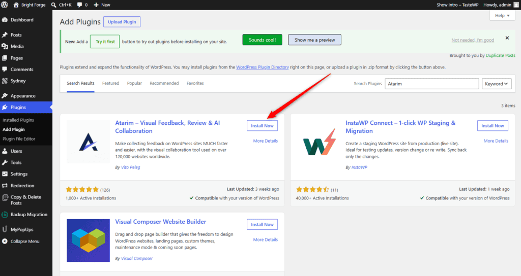 The Install Now button on the Atarim plugin listing